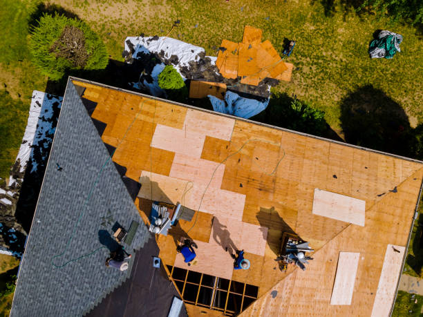 Best Metal Roofing Contractor  in Fort Polk North, LA