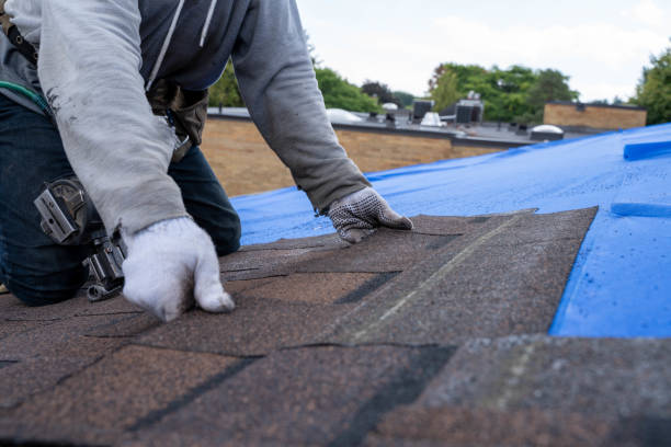 Best Local Roofing Companies  in Fort Polk North, LA