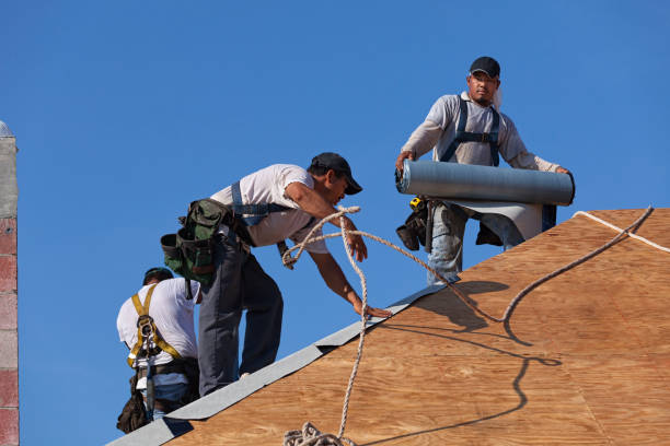 Best Roof Gutter Cleaning  in Fort Polk North, LA